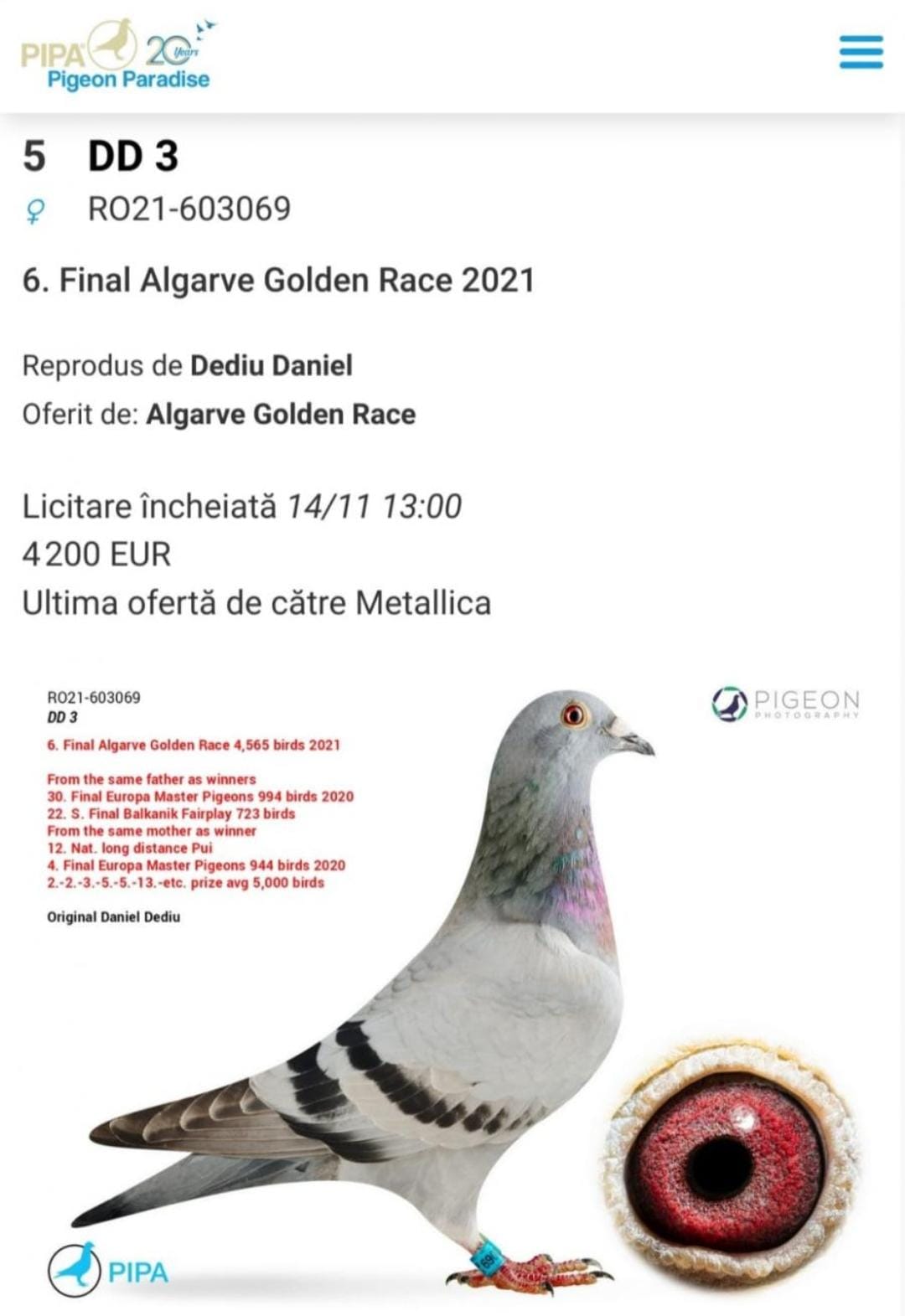 RO21-604496 ERKEK / YARI KARDEŞİ  6. FİNAL ALGARVE GOLDEN RACE 2021