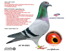 AU39-2023