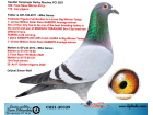CH21-20329