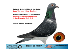 DK116-21-0388 ERKEK /  BABASI A. VAN BERKEL VAN LOON ANNESİ IVO RENDERS