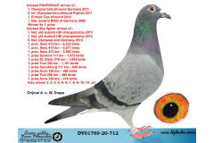 DV01769-20-712 DİŞİ / DEDESİ SKYFİGHTER - INBREED POKERFACE 