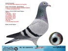 NL18-1205372