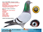 NL19-1002264