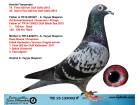 TR15-129002 ERKEK / ORJ. A. TAYYAR BAŞARAN KENDİSİ 74. FİNAL OLR SOFİA 35. SEMİ FİNAL