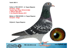TR16-041112 DİŞİ / TARDIV 2021 LI  - SCORPION - DIEGO 