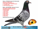 TR16-146287