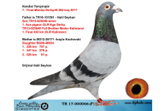TR17-000066 ERKEK / KENDİSİ 7. FİNALOLR MANİSA45 2017 