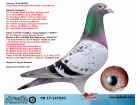 TR17-147230