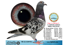 TR21-039701 / H. GERCEK CAKIR & ISMAIL SOPCELER -  74 FİNAL 477 KM