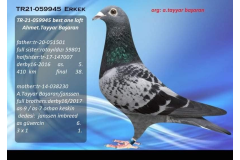 TR21-059945 ERKEK / AHMET TAYYAR BAŞARAN