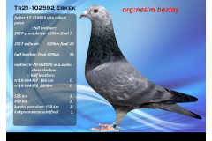 TR21-102592 ERKEK / NESİM BOZTAŞ