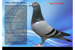 TR21-248135 ERKEK / ALİ AKTAŞ