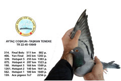 TR22-45-10649 	AYTAÇ COŞKUN--TAŞKAN TENEKE / 314. FİNAL