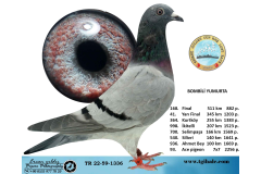 TR22-59-1336   BOMBİLİ YUMURTA / 168. FİNAL