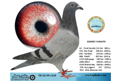 TR22-59-1338  BOMBİLİ YUMURTA / 32. FİNAL 