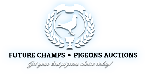 FUTURE CHAMPS-PIGEON AUCTIONS / MARIAN PASKOV