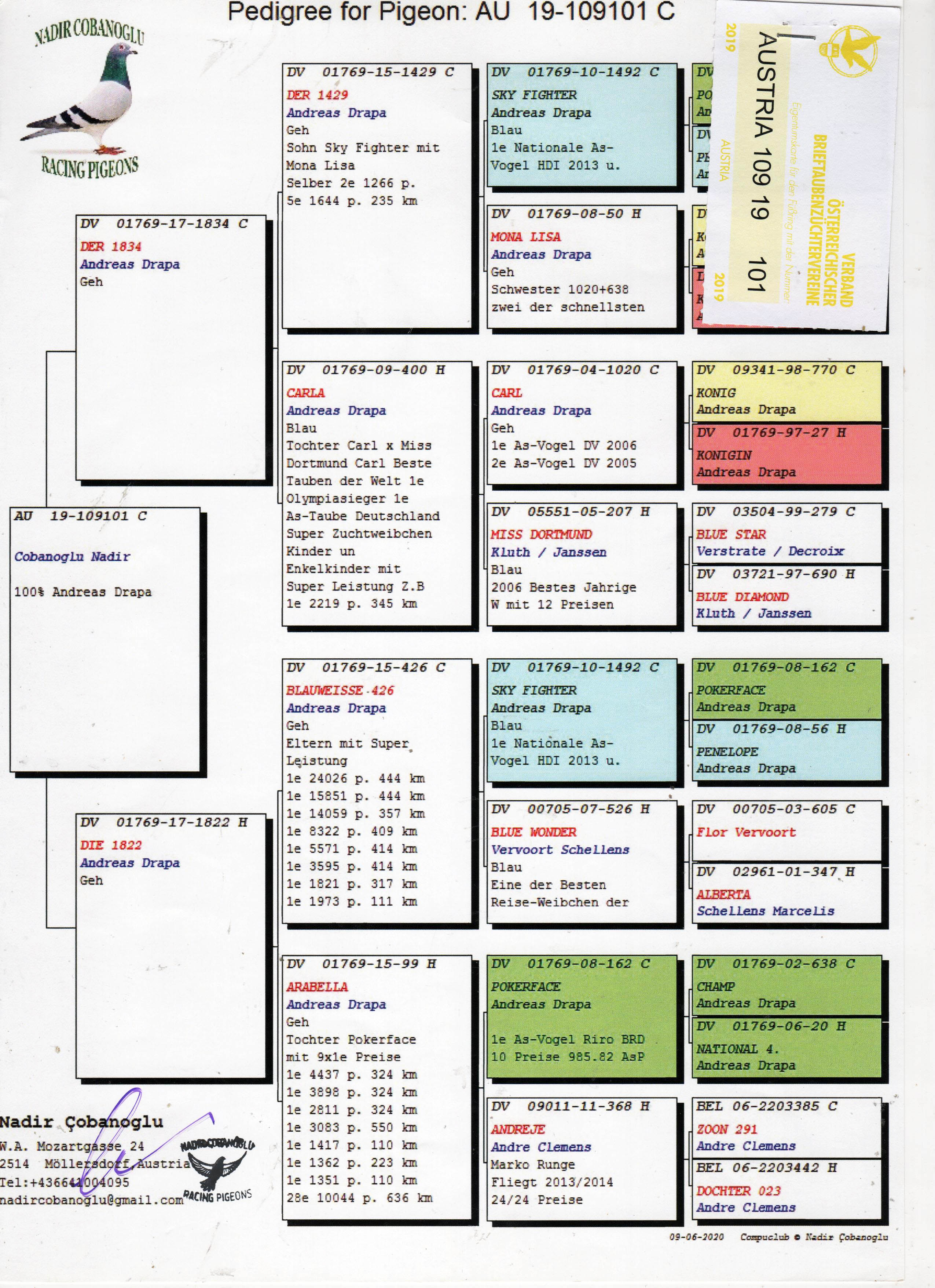AU19-109101 ERKEK / ANDREAS DRAPA % 100 POKERFACE - SKYFIGHTER 