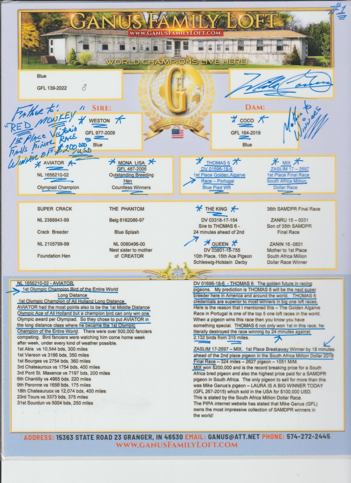 AU22-GFL-139 ERKEK / BABADAN KARDEŞİ RED MONKEY  1 FİNAL VICTORIA FALLS