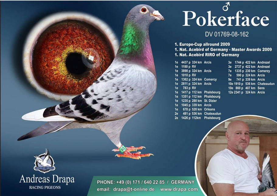 AU318-20-241 DİŞİ / ANDREAS DRAPA % 100 POKERFACE - SKY FIGHTER 