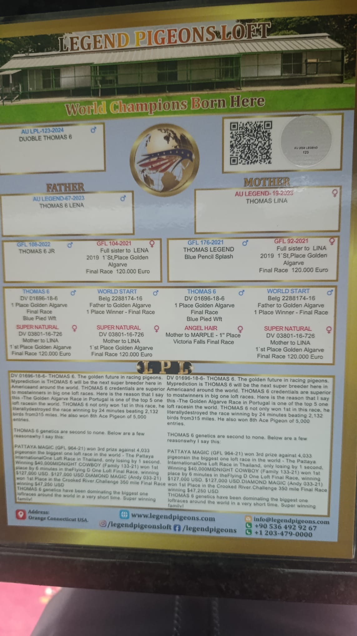 AULPL-123-2024 ERKEK / INBREED THOMAS 6 X LENA ( ROMARIO )