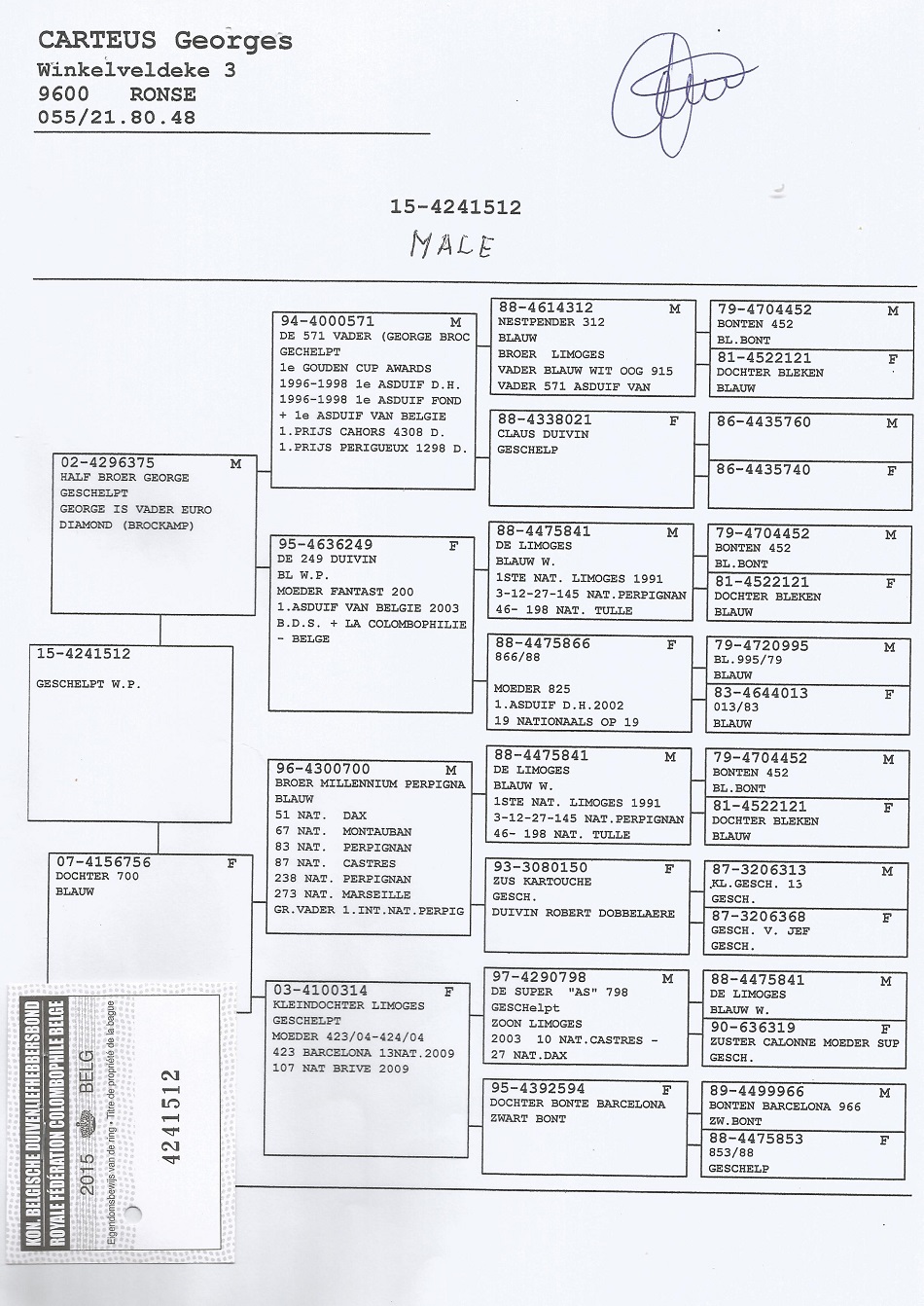 BE15-4241512 ERKEK / ORJ.  GEORGES CARTEUS  BABASININ YARI KARDEŞİ EURO DİAMON BABASI