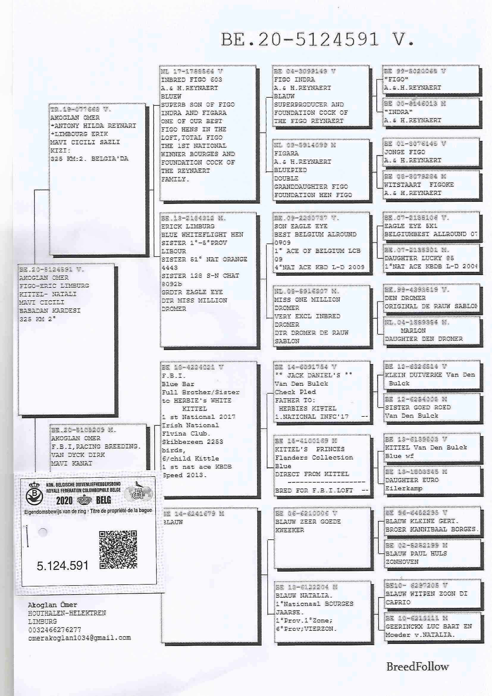 BE20-5124591 DİŞİ /  BABASI E. LİMBOURG - REYNAERT - ANNE VAN DYCK - D. VAN DE BLUCK