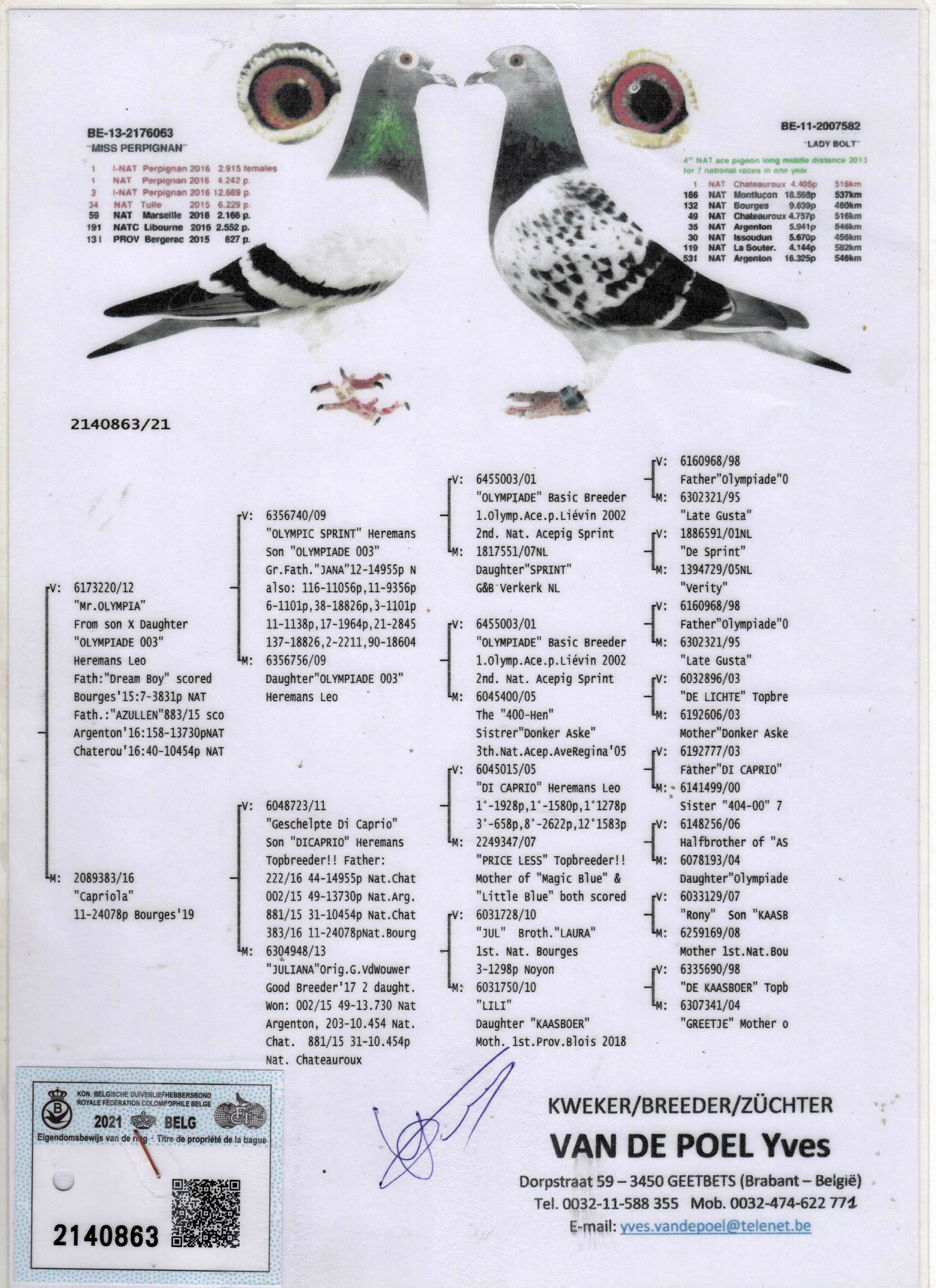 BE21-2140863 ERKEK / LEO HEREMANS - OLYMPADE 003 - DI CAPRIO 