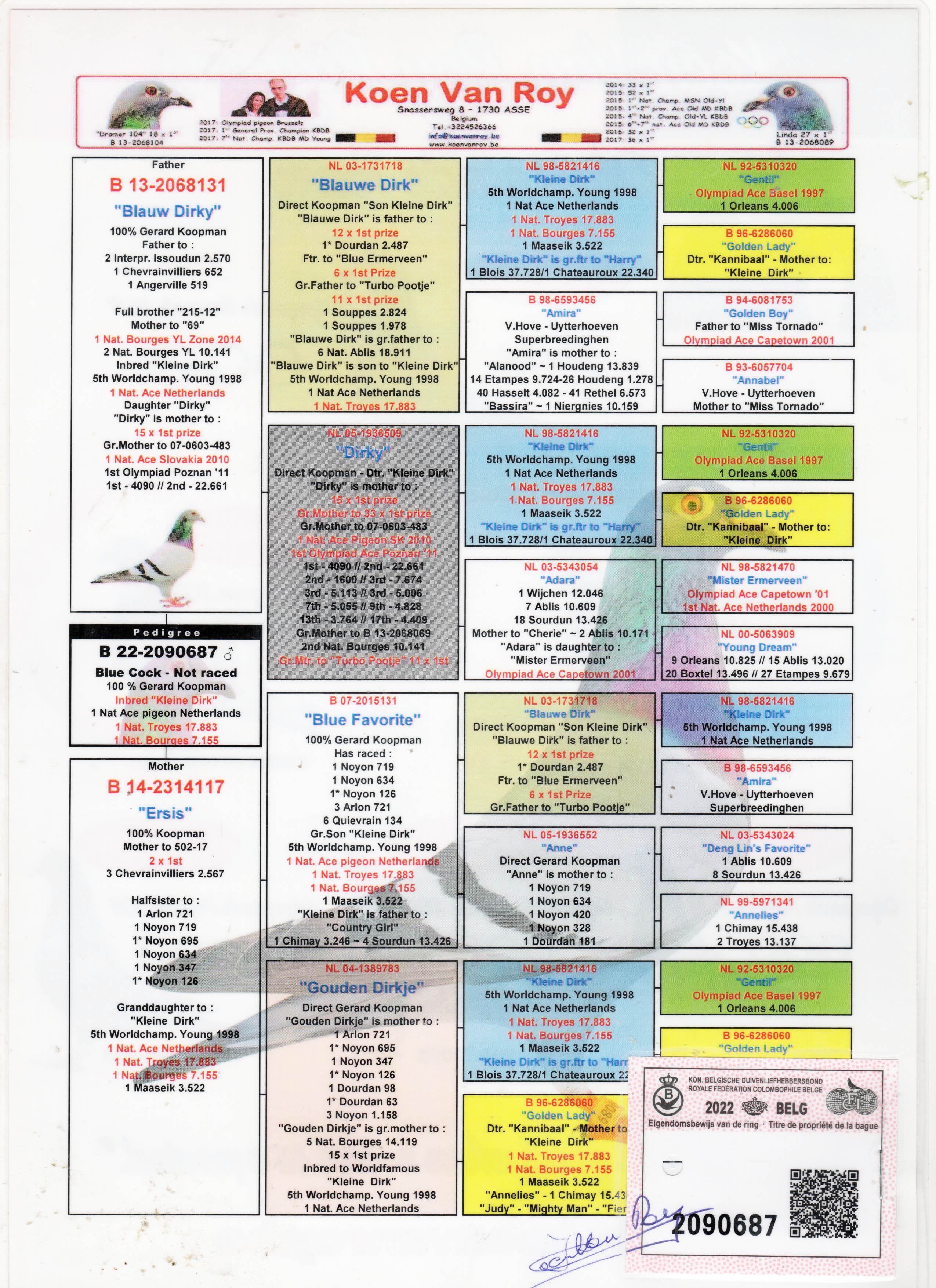 BE22-2090687 ERKEK / VAN ROEY KOEN KOOPMAN 