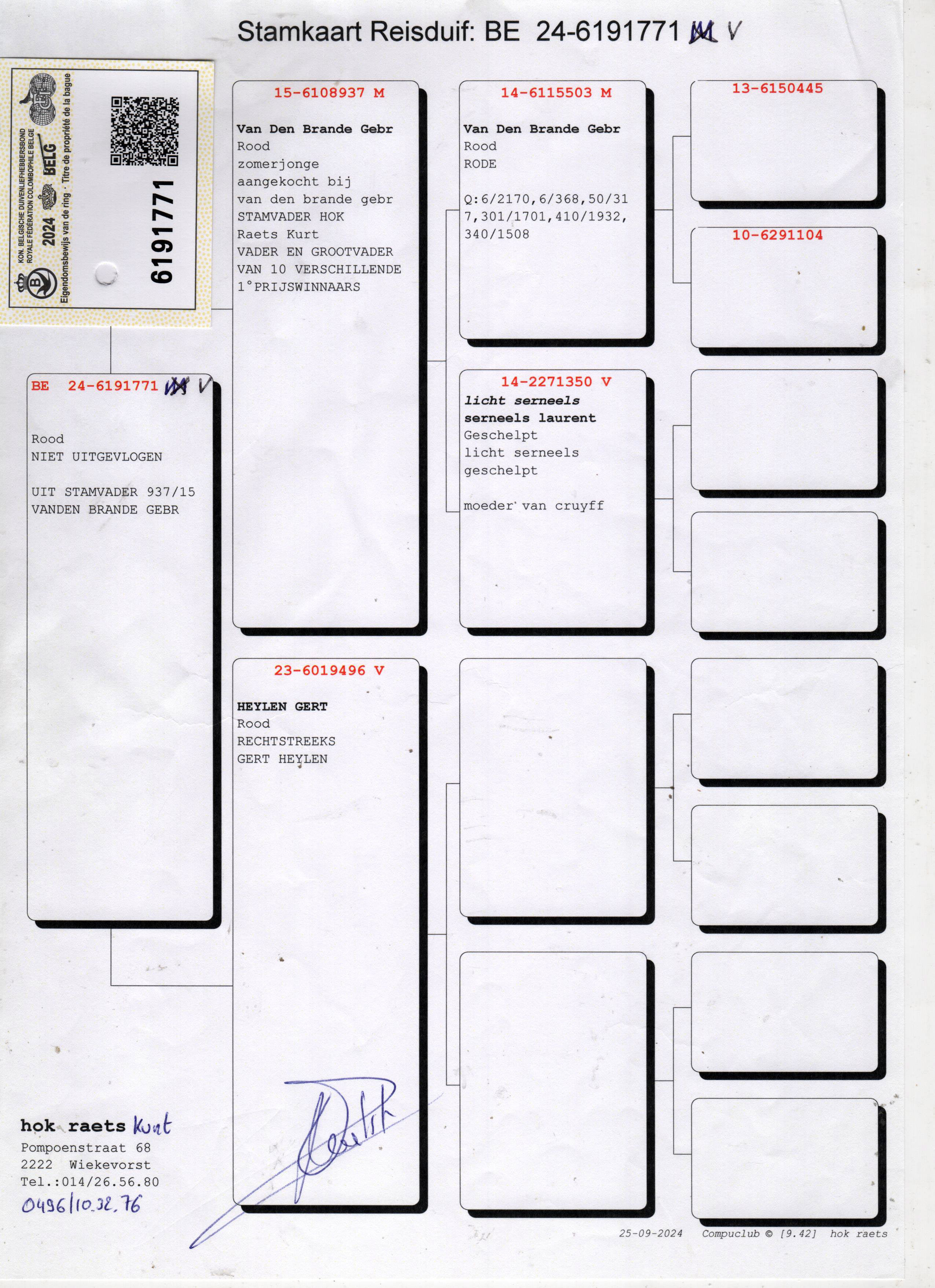 BE24-6191771 DİŞİ / ROOD VALE 771