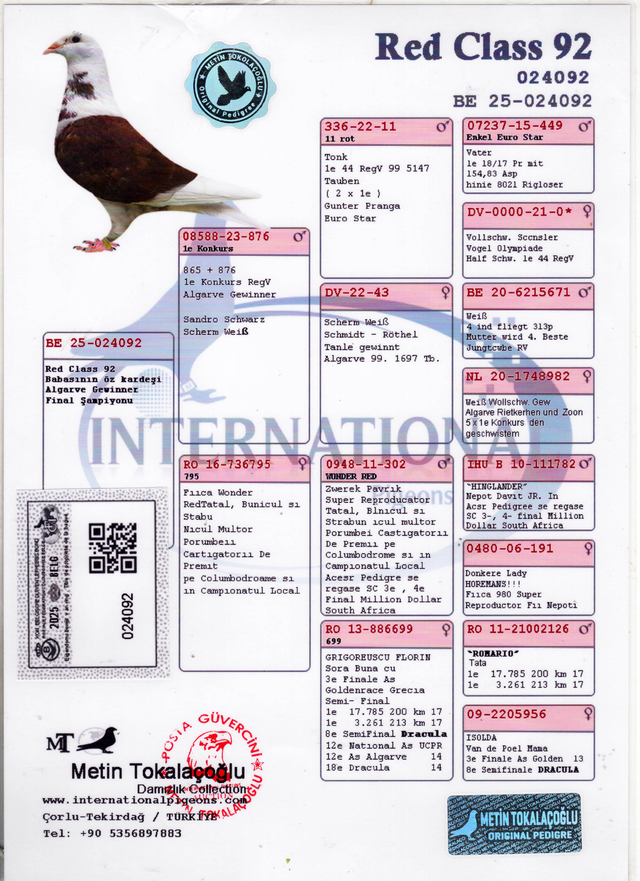 BE25-024092 ERKEK / RED CLASS 92