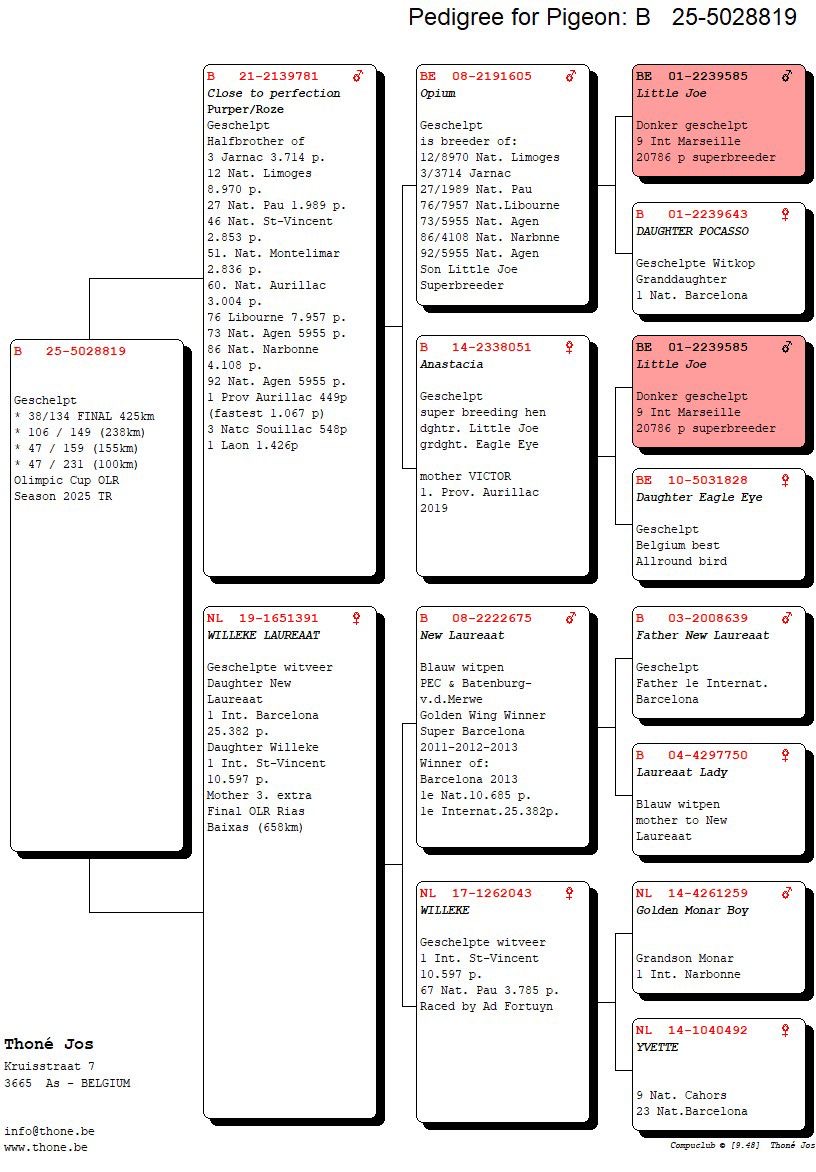 BE25-5028819 JOS THONE  /  38 FİNAL 425 KM & 42 AS 
