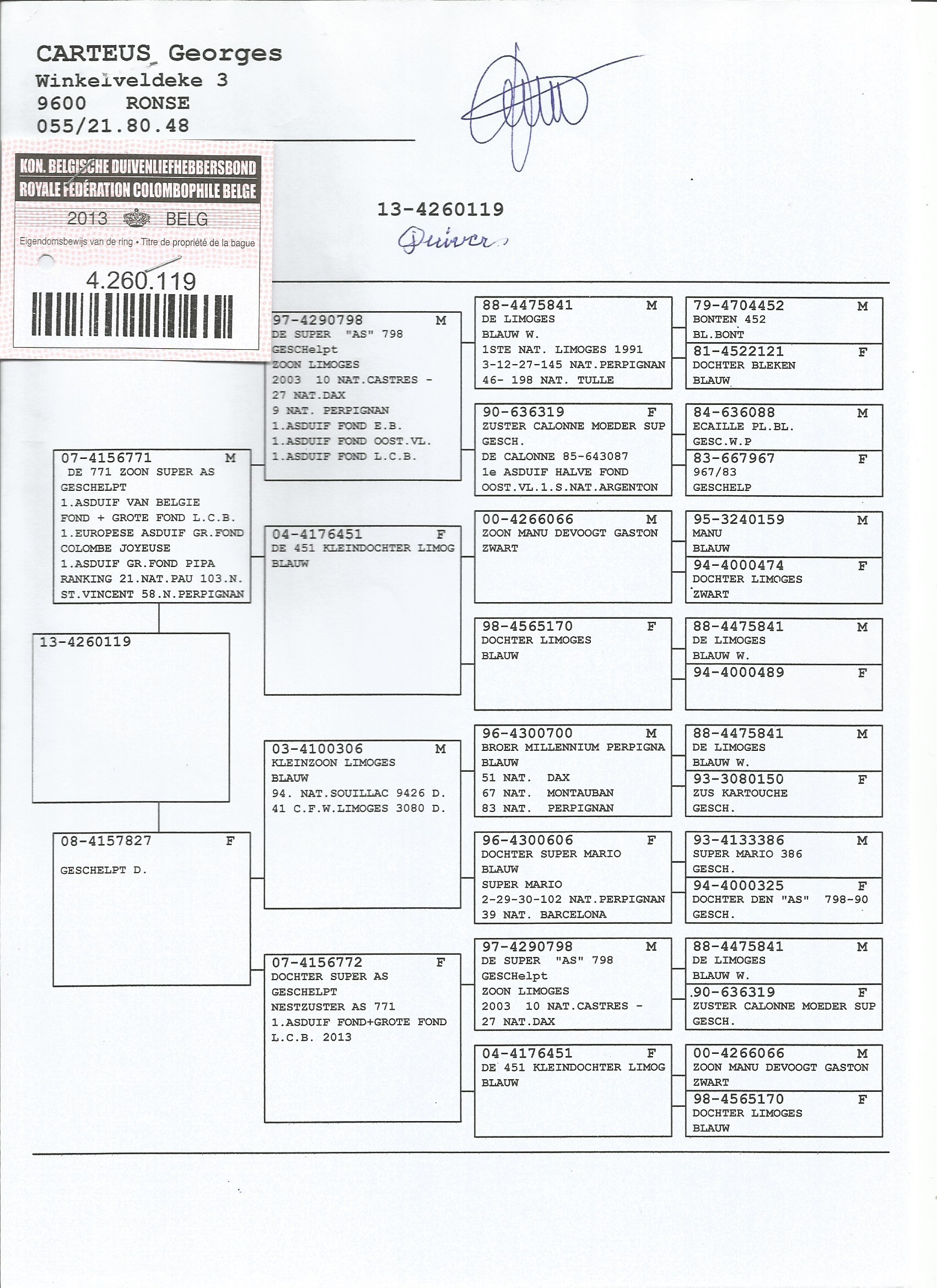 BEL13-4260119 ERKEK / CARTEUS BABASI 9 NAT. ACE KBDB -  SUPER AS TORUNU