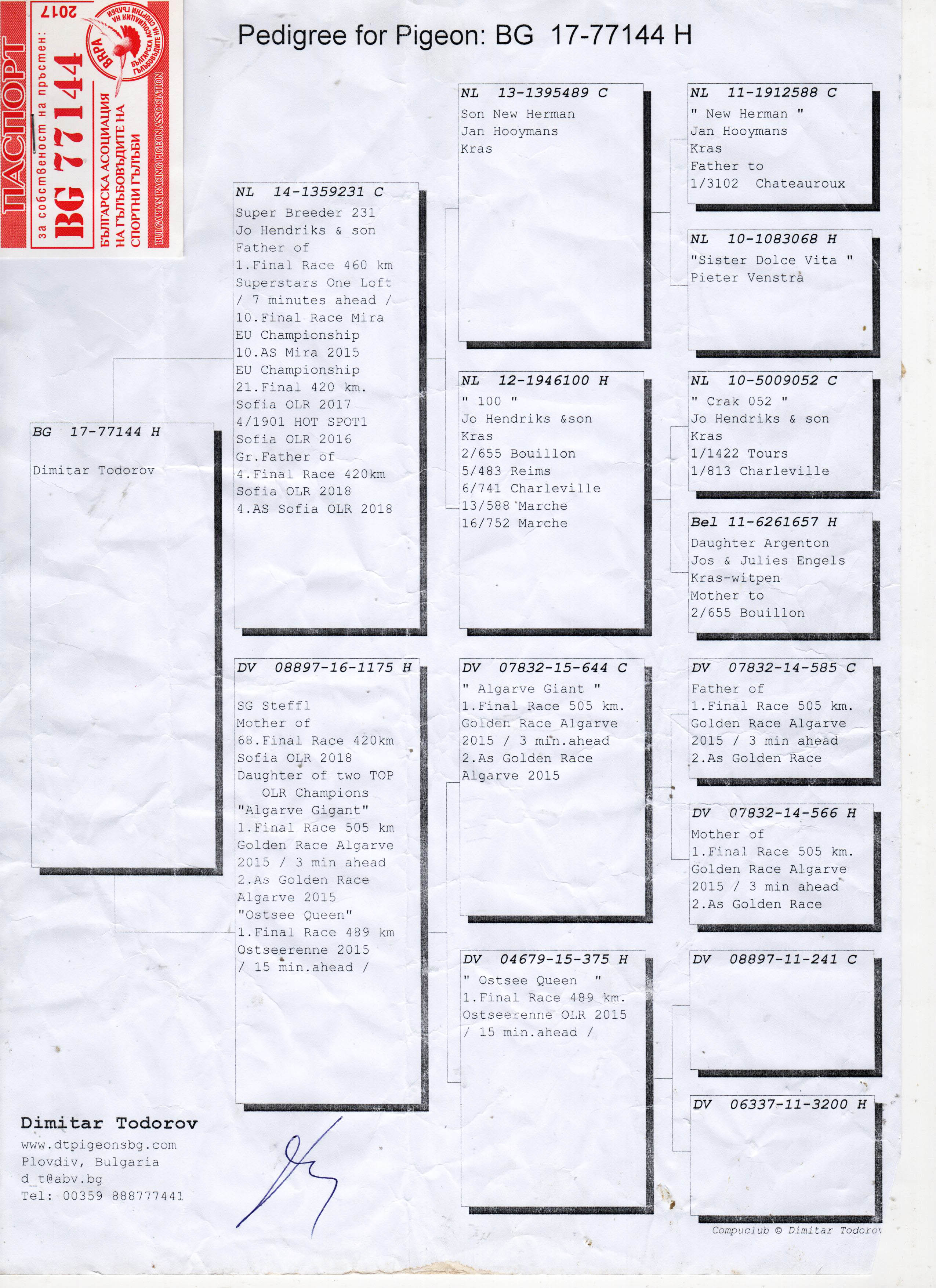 BG17-77144 DİŞİ / 231 X ALGARVE GIANT