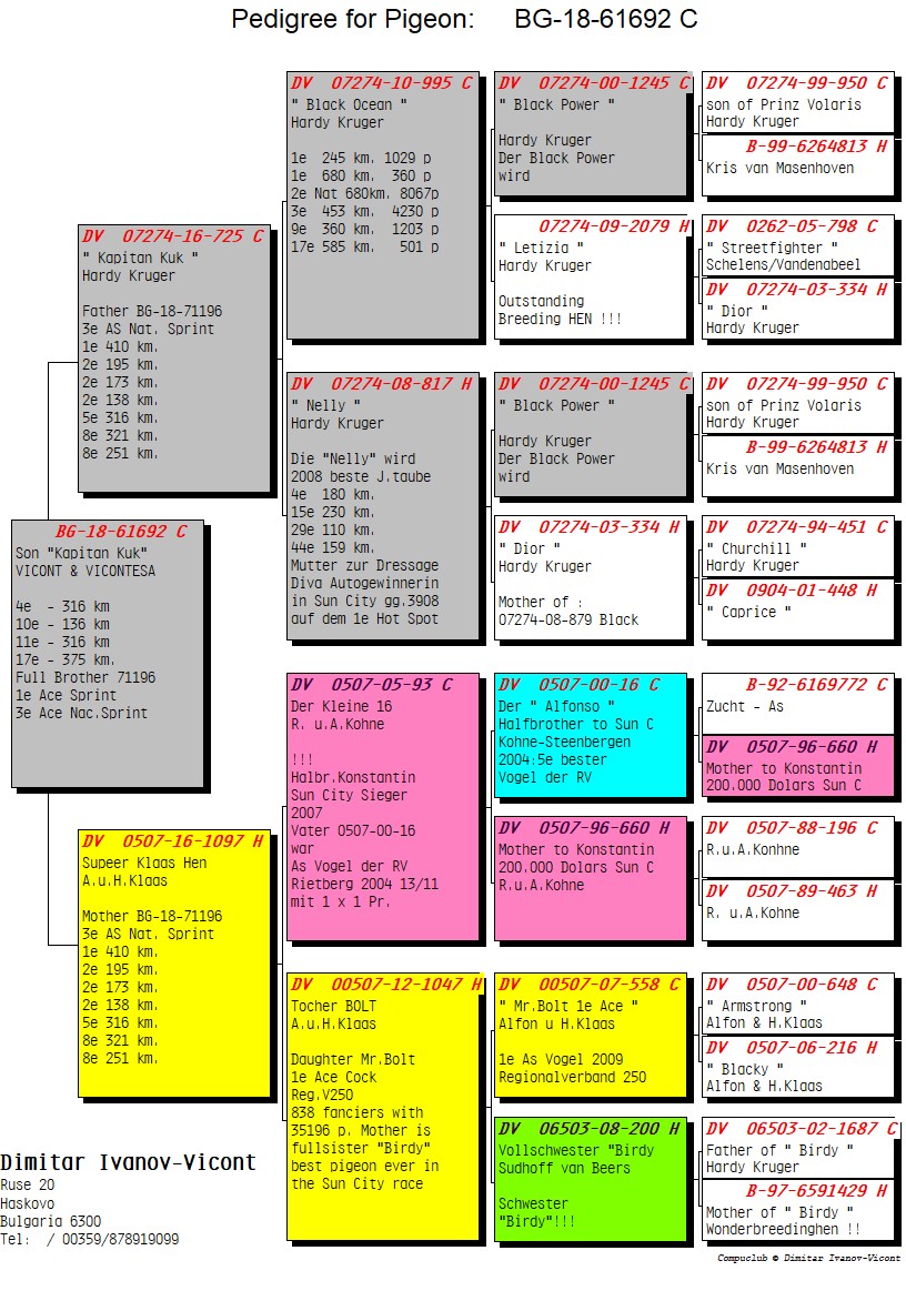BG18-61692 ERKEK / SON KAPITAN KUK - KENDİSİ YARIŞMIŞ
