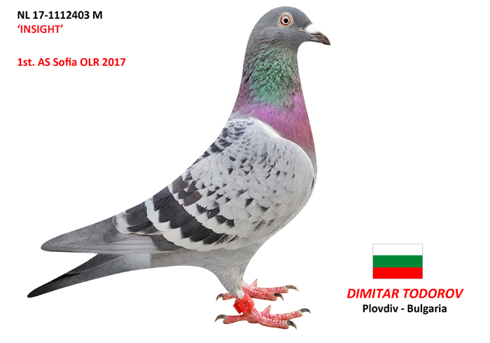 BG19-22273 ERKEK / ORJ DIMITAR TODOROV KARDESI 6. FINAL 420 KM OLR SOFIA 2019