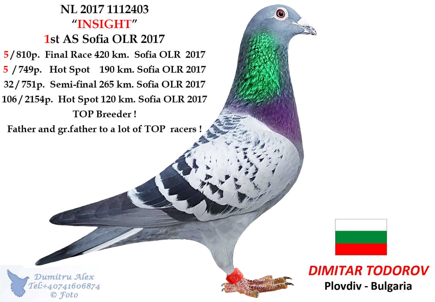 BG19-22274 ERKEK / KARDEŞİ 6. FİNAL 420 KM OLR SOFİA 