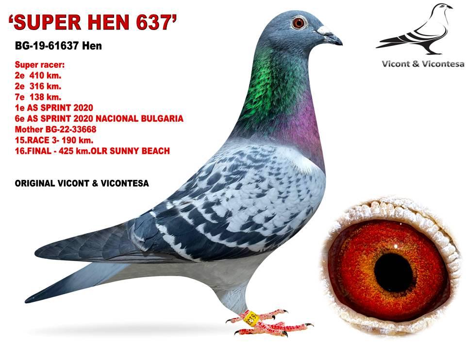 BG19-61637 DİŞİ / KENDİSİ 1 AS SPINT 2020 - 2. 410 KM - 2. 316 KM