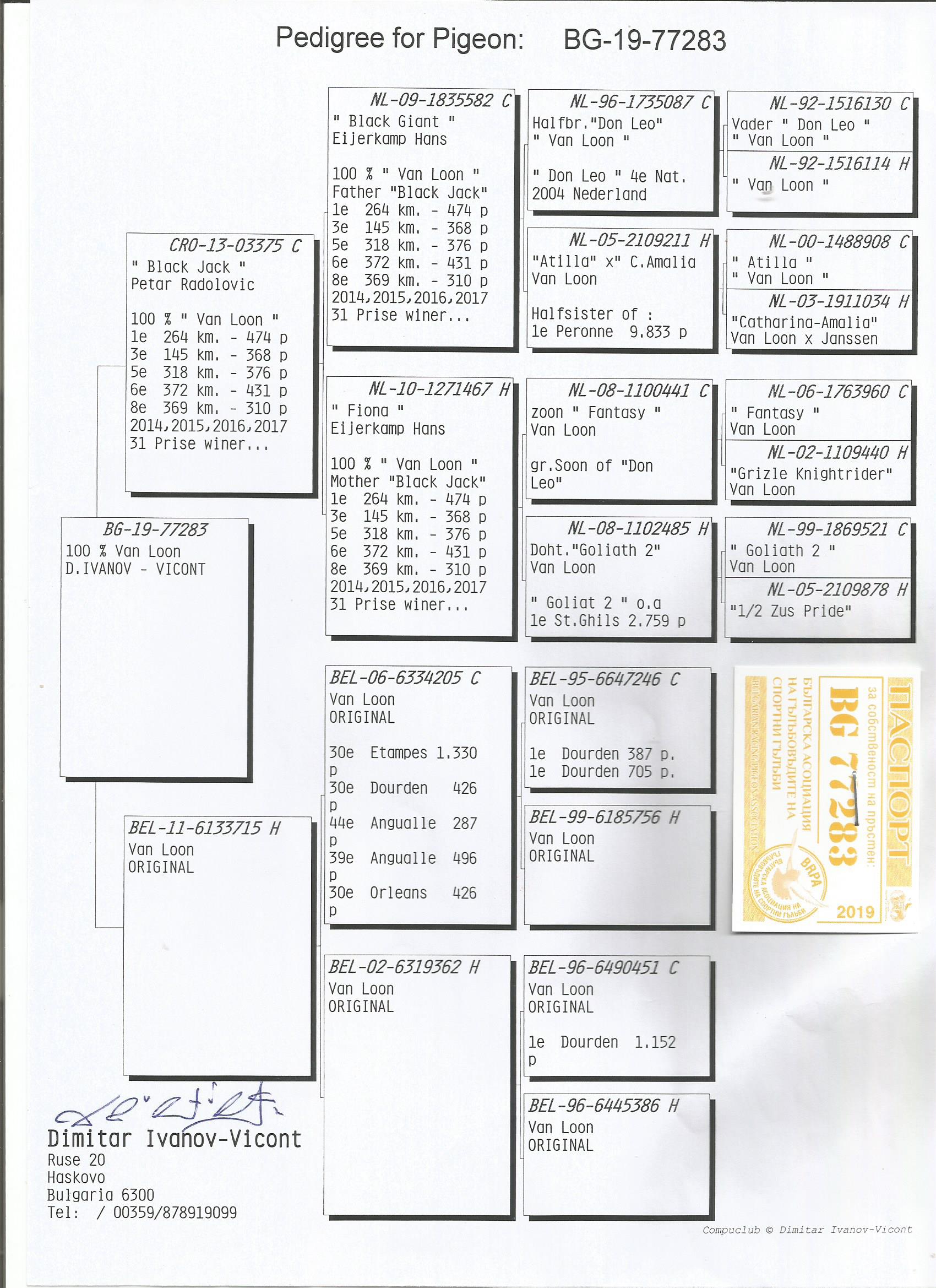 BG19-77283 ERKEK /  LOUİS VAN LOON % 100