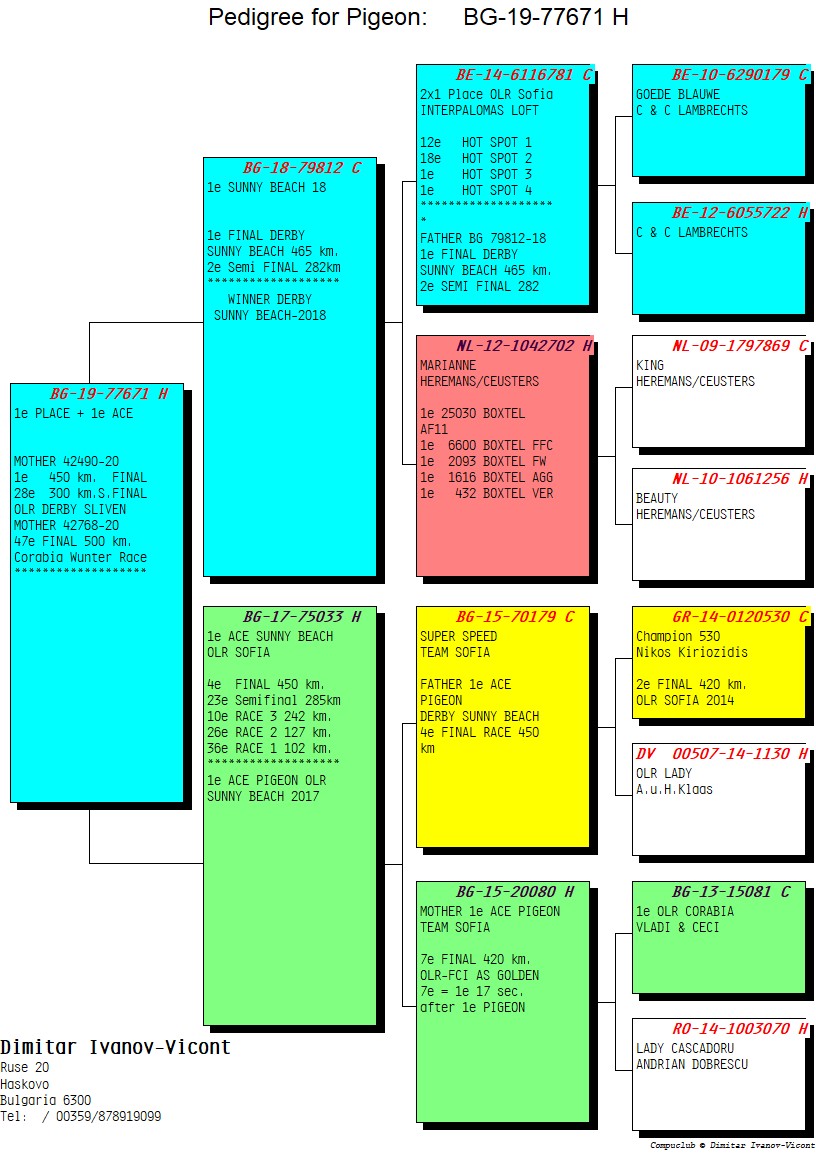 BG19-77671 DİŞİ / YAVRUSU 1 FİNAL 450 KM OLR SLIVEN