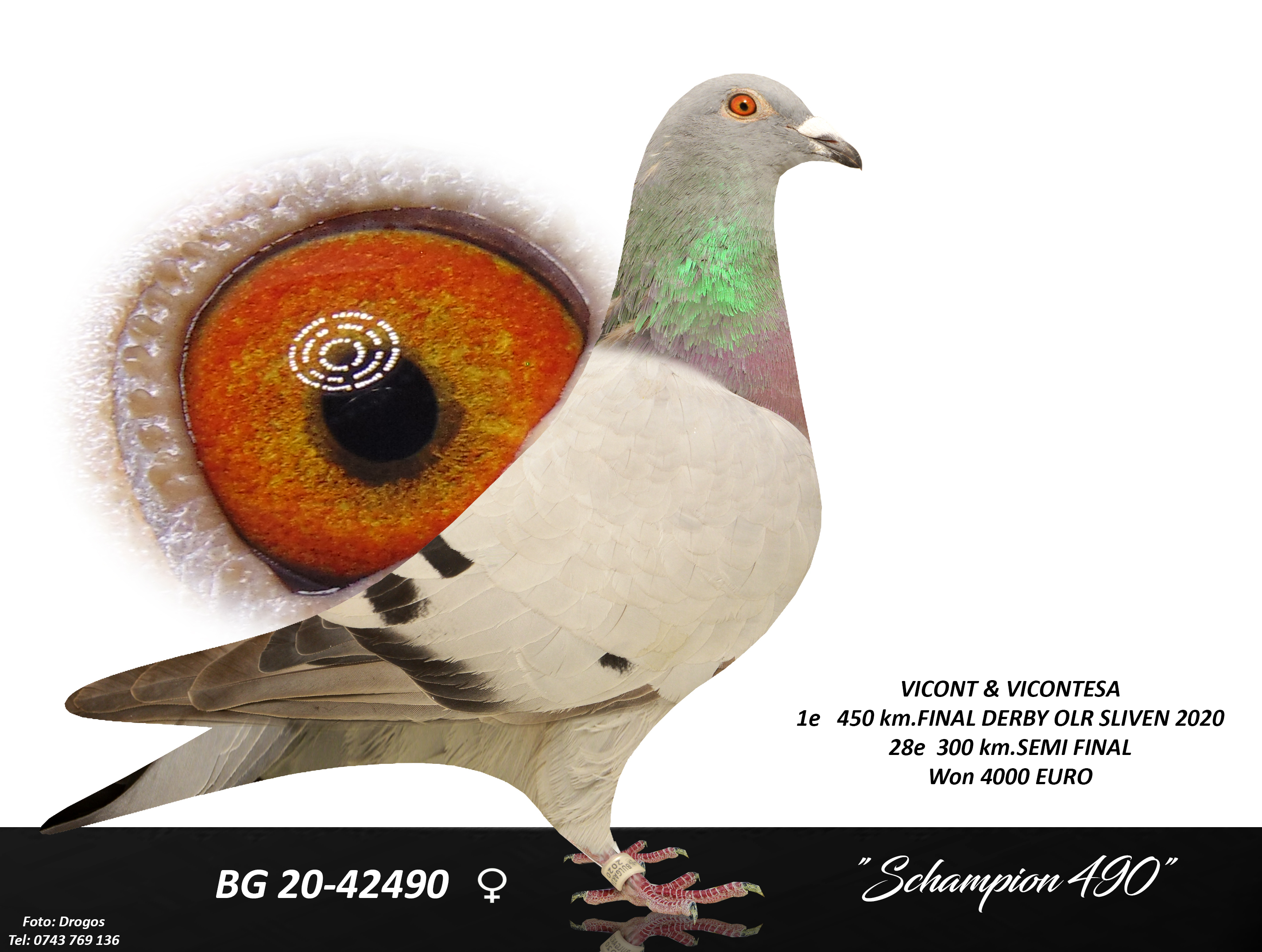 BG19-77671 DİŞİ / YAVRUSU 1 FİNAL 450 KM OLR SLIVEN