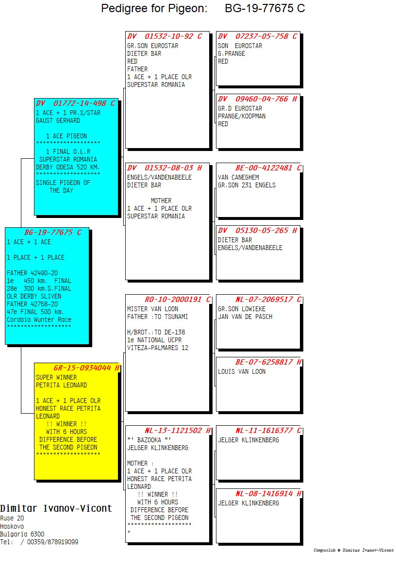 BG19-77675 ERKEK / 1 ACE + 1 ACE -YAVRUSU 1 FİNAL 450 KM OLR SLIVEN