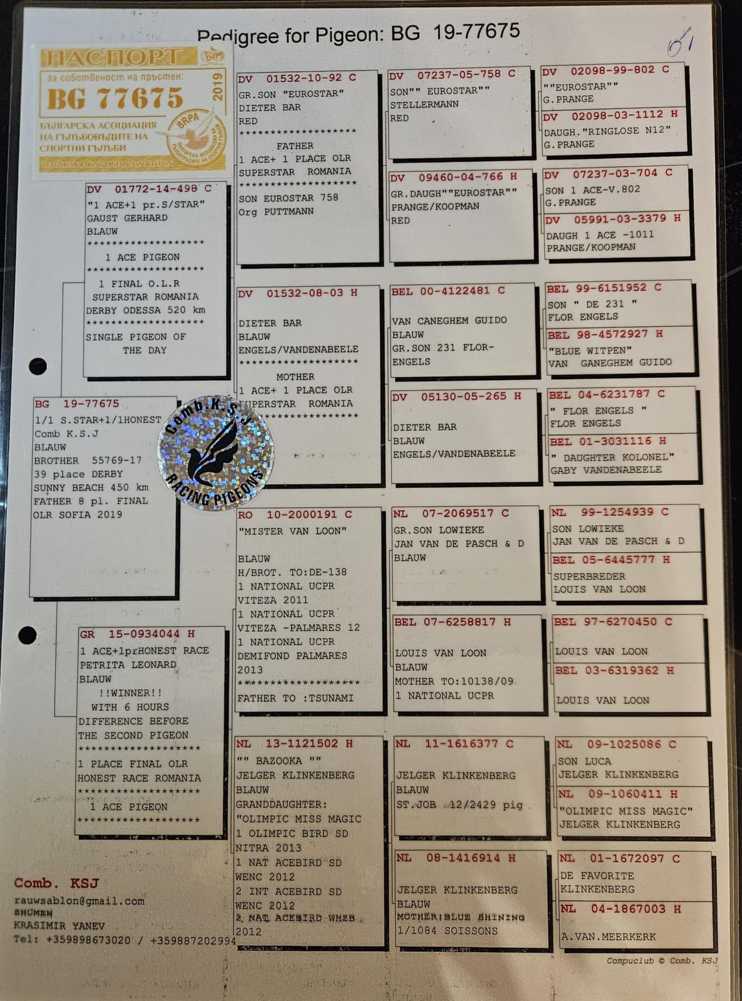 BG19-77675 ERKEK / 1 ACE + 1 ACE -YAVRUSU 1 FİNAL 450 KM OLR SLIVEN