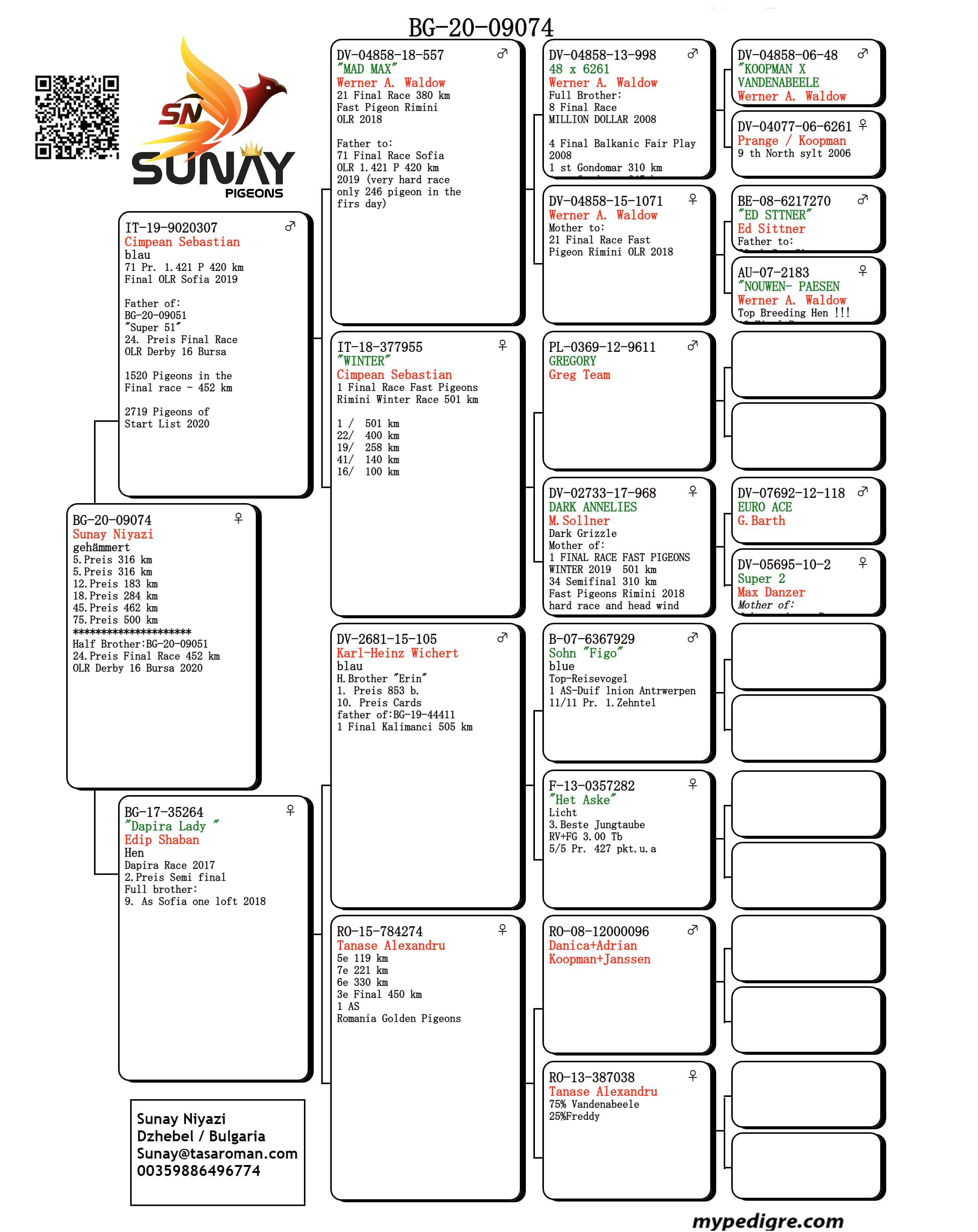 BG20-09074 DİŞİ / KENDİSİ YARIŞMIŞTIR 5 - 5 - 12- 18 -