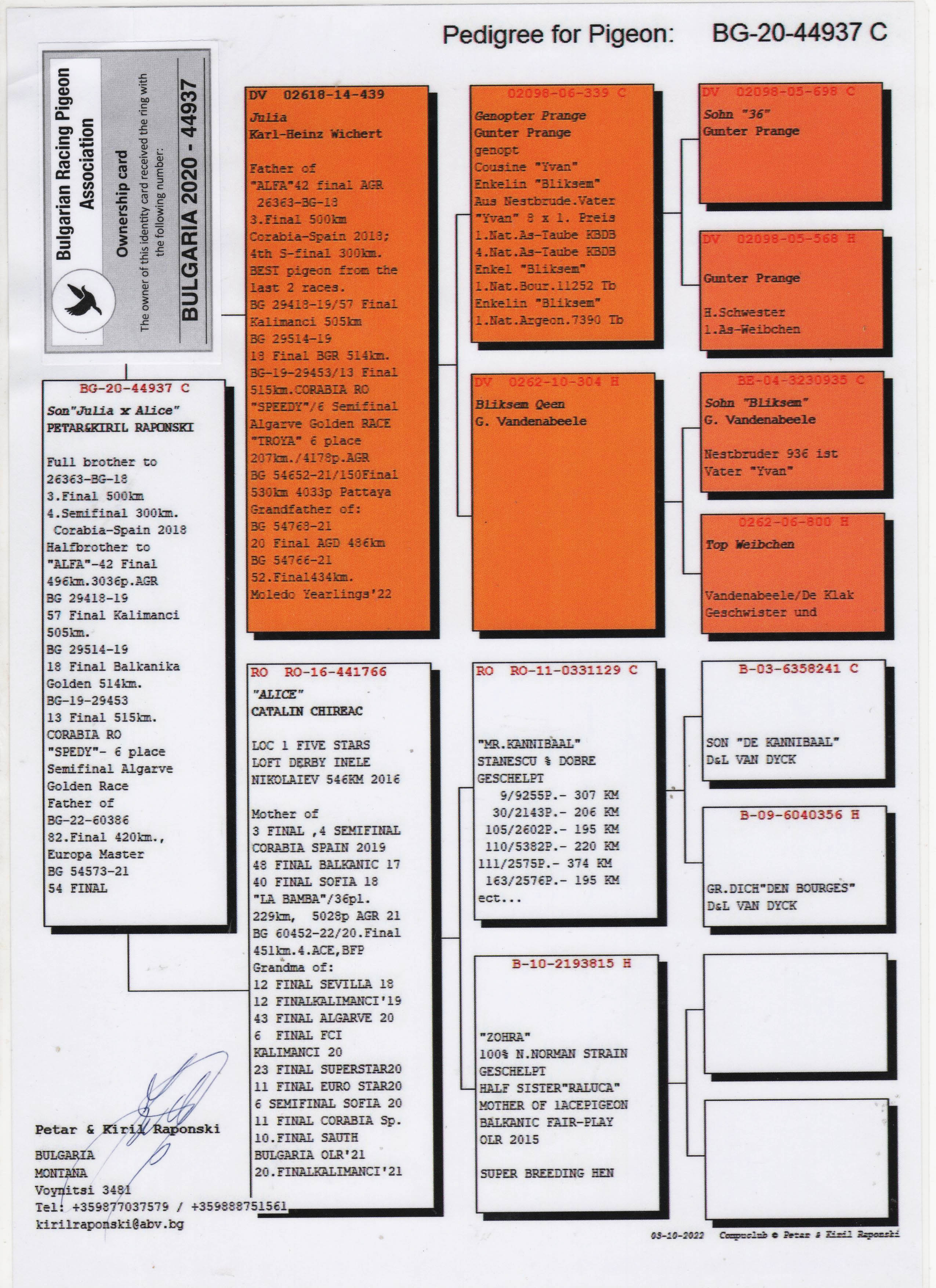 BG20-44937 ERKEK / JULIA X ALICE -  FULL BROTHER 3 FİNAL 500 KM & 4 SEMİFİNAL 