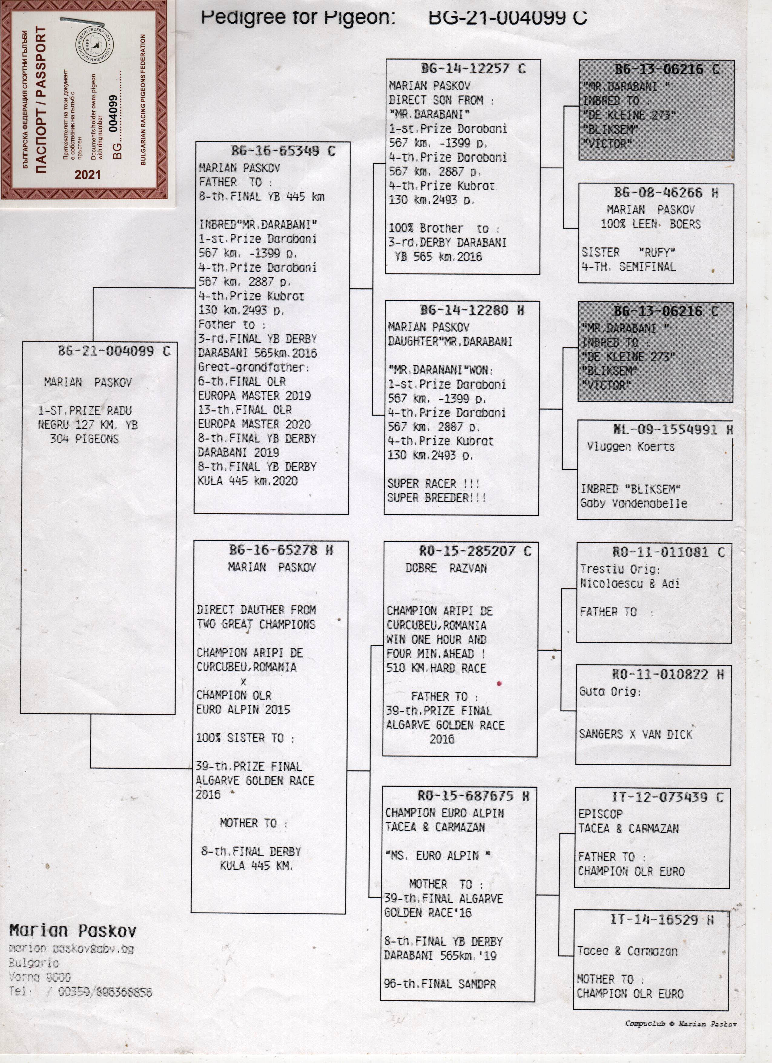 BG21-004099 ERKEK / KENDİSİ YARIŞMIŞTIR - 1. PRİZE 127 KM 304 P.