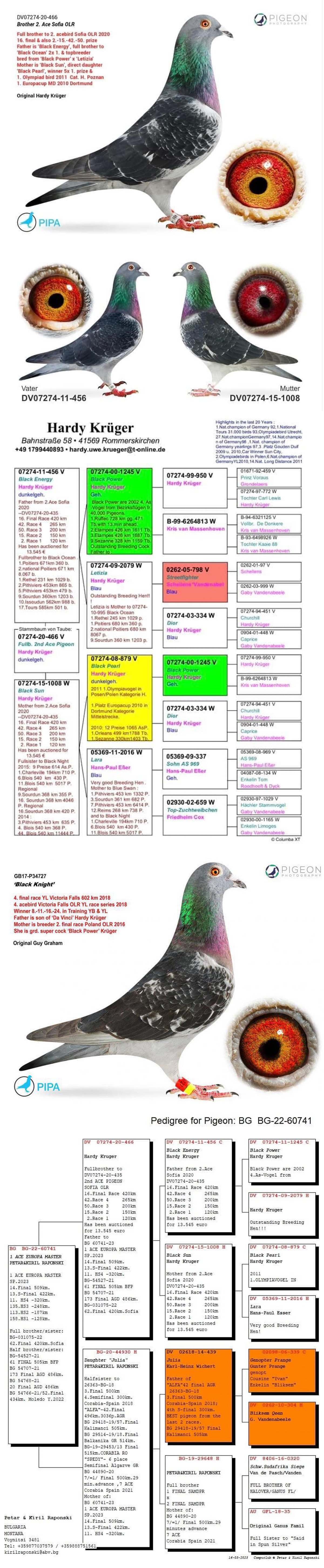 BG21-54846 ERKEK / HARDY KRUGER % 100 BABADAN KARDEŞİ 1 ACE ĞIGEON