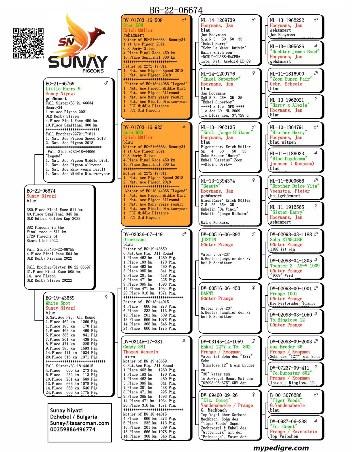 BG22-06674 SUNAY NİYAZİ / 380. FİNAL