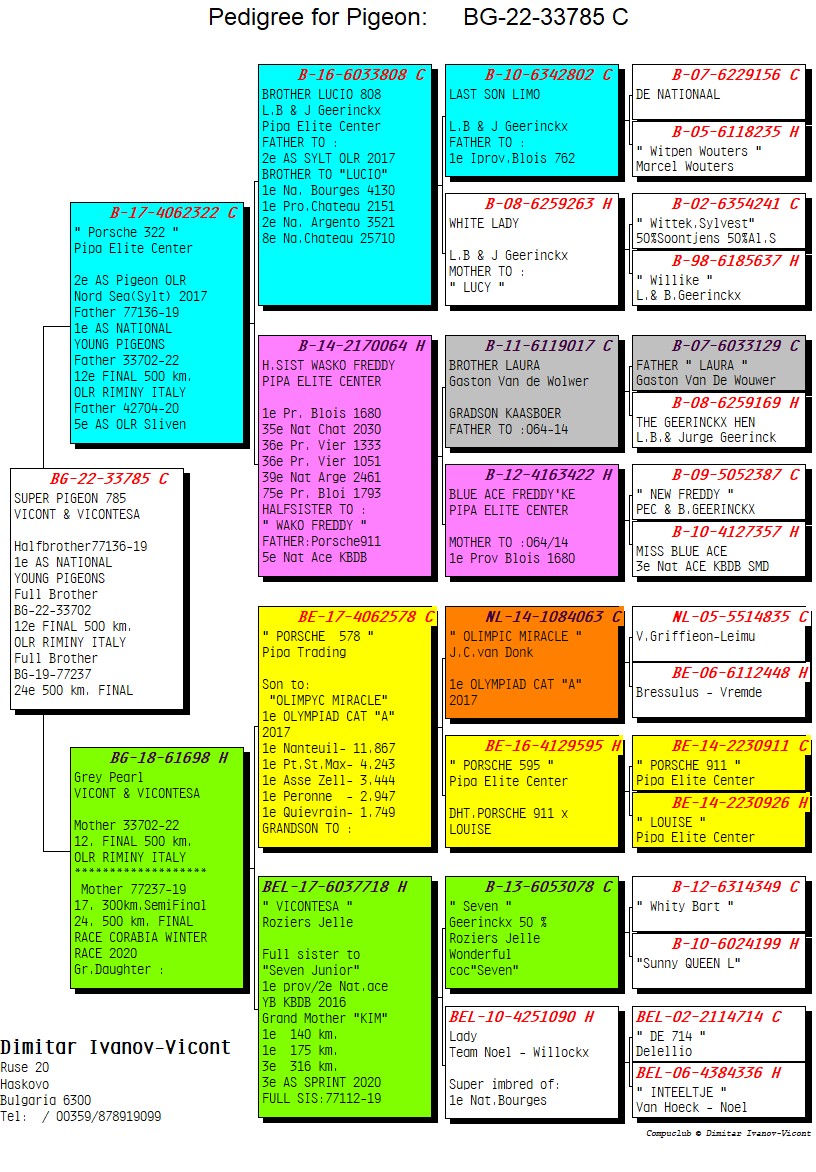 BG22-33785 ERKEK / SUPER PIGEON PORSCHE 785