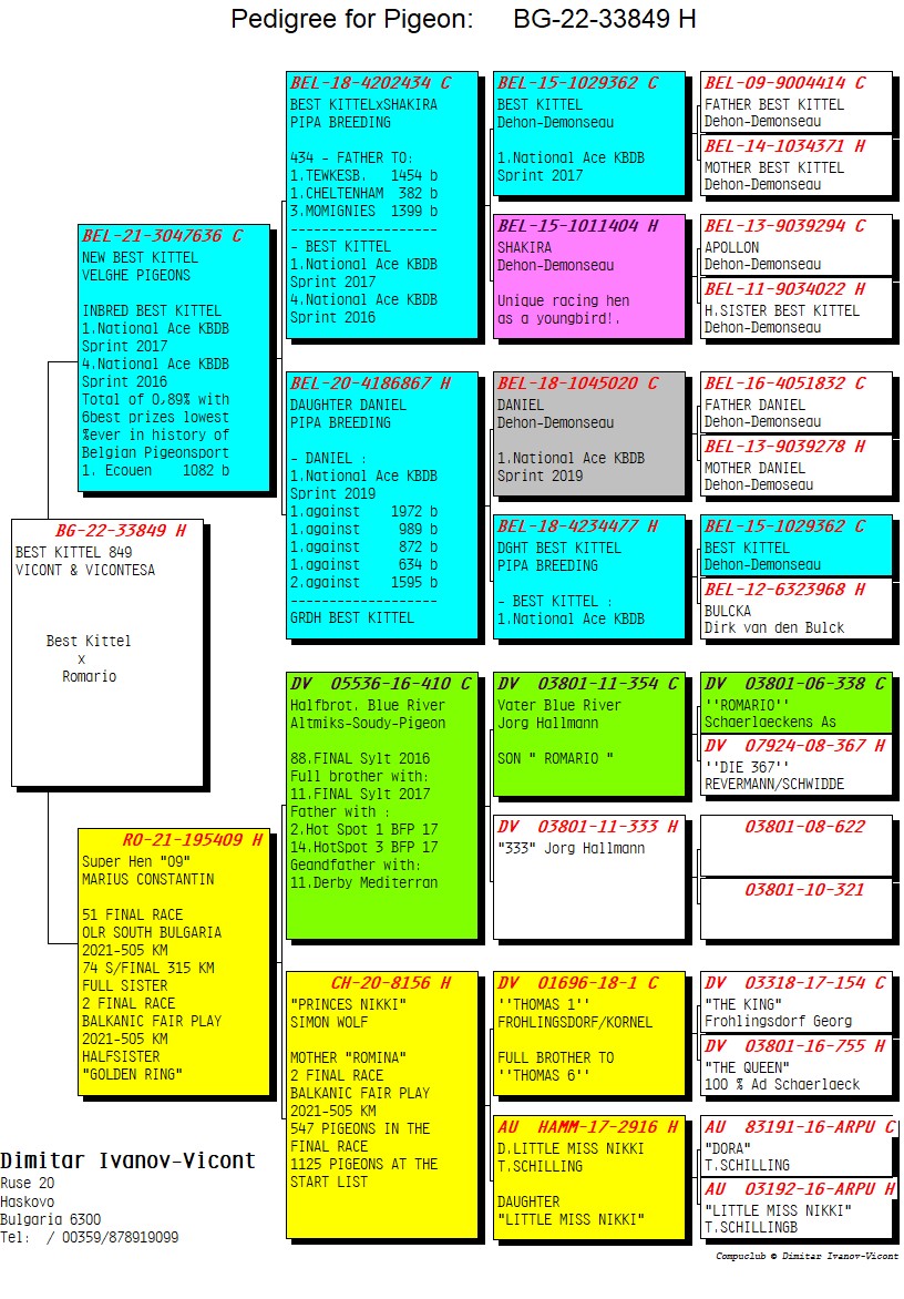 BG22-33849 DİŞİ / SUPER BEST KITTEL 849 
