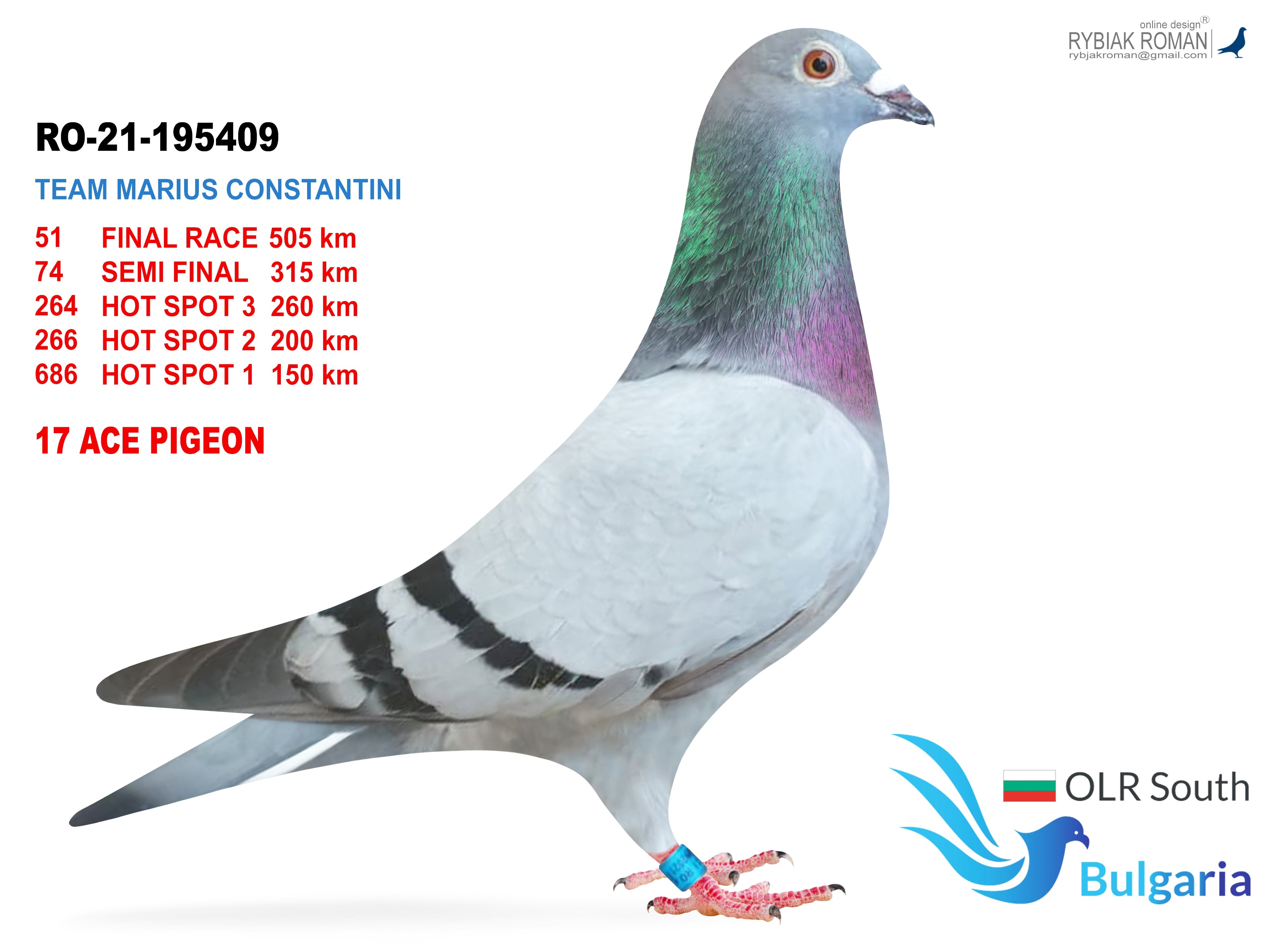 BG22-33849 DİŞİ / SUPER BEST KITTEL 849 